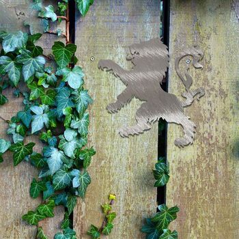 Scottish Lion Rampant, Rusty Metal Garden Art, 5 of 10