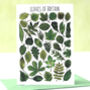 Tree Leaves Of Britain Art Blank Greeting Card, thumbnail 1 of 12