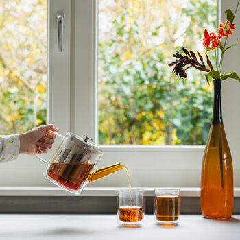 Glass Teapot San Remo Double Wall 1000ml And Steel Filter, 7 of 10