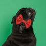 Dog Bow Tie Available In Multiple Colours, thumbnail 1 of 4