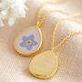 Personalised Real Pressed Forget Me Not Flower Necklace, thumbnail 4 of 8
