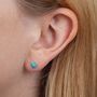 Mini Enamel Ladybird Earrings Studs, thumbnail 3 of 3