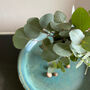 Fresh Eucalyptus Bud Vase Gift Set, thumbnail 9 of 9