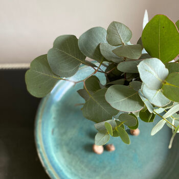 Fresh Eucalyptus Bud Vase Gift Set, 9 of 9