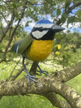 Hand Painted Metal Bluetit, 2 of 9