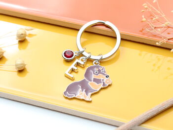 Personalised Sausage Dog, Dachshund Keyring, 5 of 10