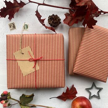 Red Stripe Paper Fibre Wrapping Paper Set, 9 of 12