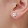 Sterling Silver Cute Paw Print Stud Earrings, thumbnail 1 of 10