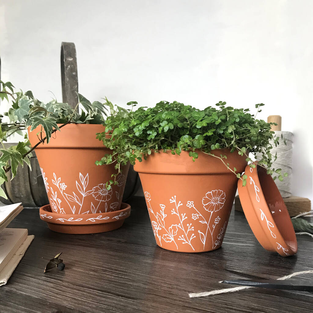 Hand Painted Terracotta Plant Pot By Lara Vinck Designs