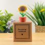 You Are My Sunshine Tiny Little Gifts, thumbnail 1 of 2