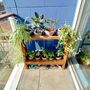 Plant Pot Display Stand, thumbnail 4 of 8