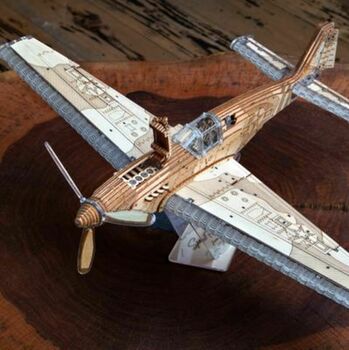 Speed Fighter. Aeroplane. By Veter Models, 4 of 11
