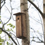 Handcrafted Woodpecker Nesting Box – Fsc Pinewood Wooden, thumbnail 2 of 12