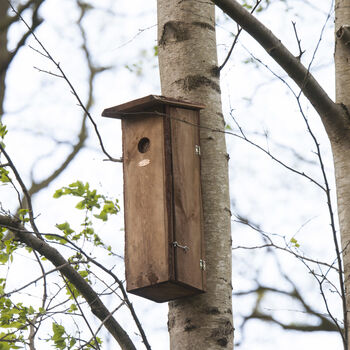 Handcrafted Woodpecker Nesting Box – Fsc Pinewood Wooden, 2 of 12