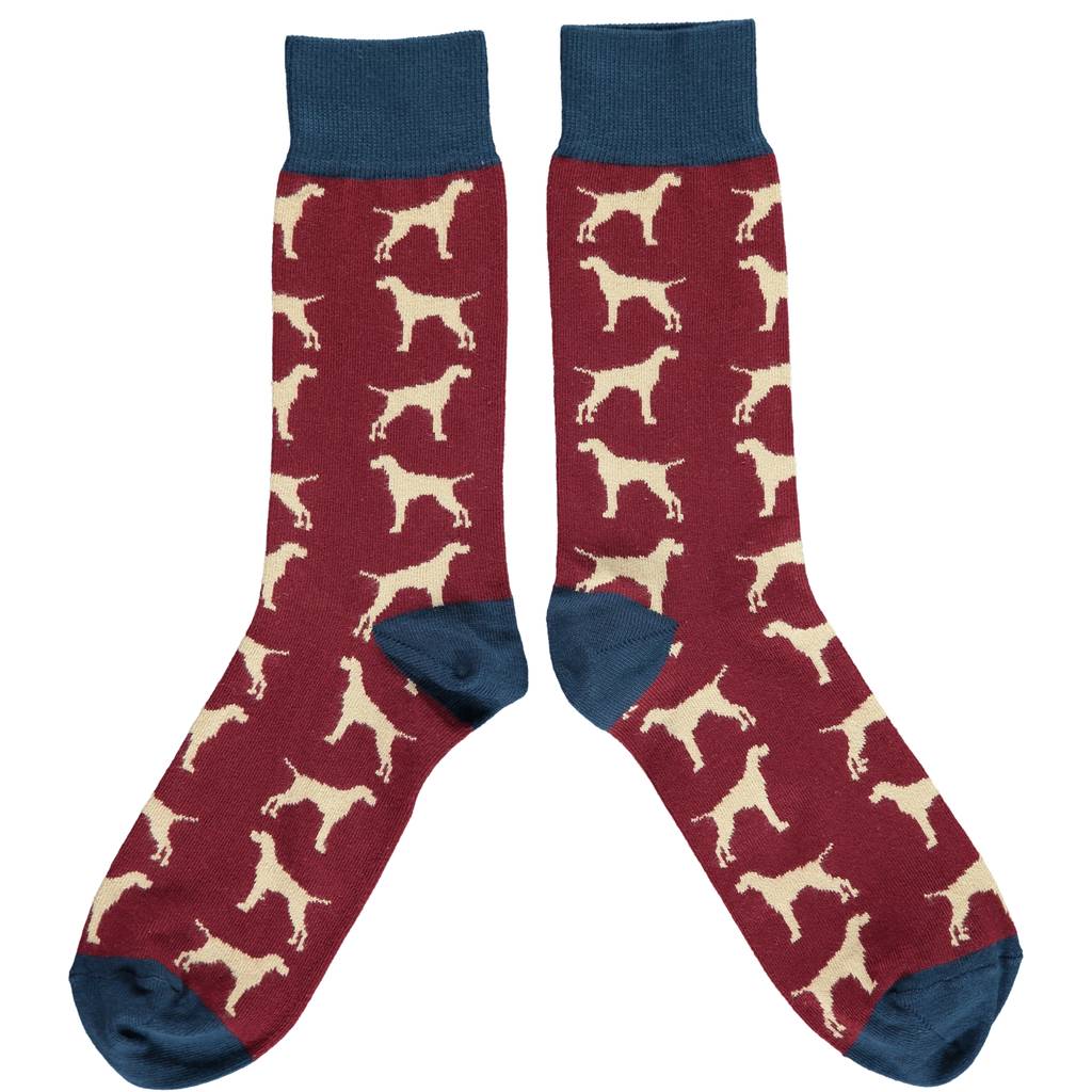 men's fun cotton socks by catherine tough