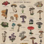 British Mushroom Artwork/Fungi Illustration Print, thumbnail 9 of 11
