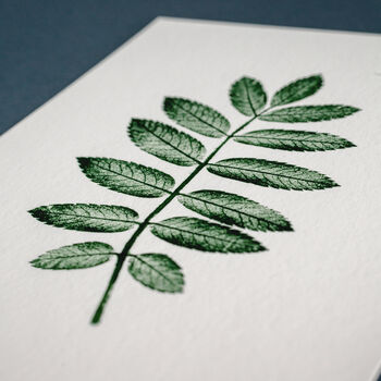 Personalised Rowan Leaf Monoprint Fine Art Print, 5 of 8