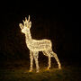 Swinsty Stag Dual Colour LED Light Up Reindeer One.25m, thumbnail 3 of 9