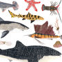 Personalised Sea Life Print, thumbnail 3 of 8