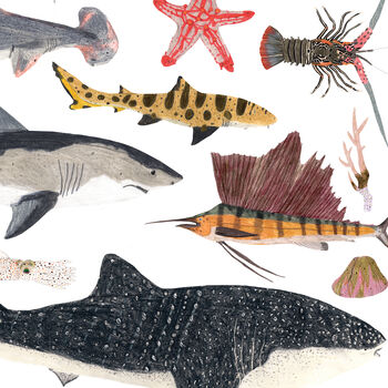 Personalised Sea Life Print, 3 of 8