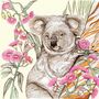 'Koala' Print, thumbnail 3 of 3