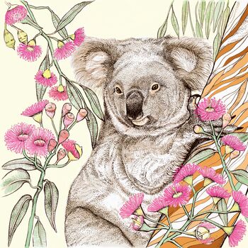 'Koala' Print, 3 of 3