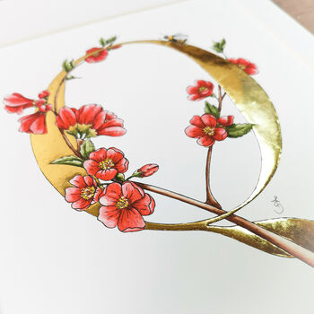 Q Is For Quince Illuminated Botanical Print, 2 of 6