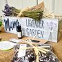 Personalised Lavender Garden, thumbnail 1 of 5