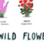 Personalised Wild Flowers Print, thumbnail 4 of 6