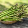 Vegetable Plants Asparagus 'Portlim' One X 2 L Pot, thumbnail 2 of 5