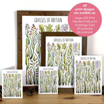 Grasses Of Britain Watercolour Postcard, 4 of 8