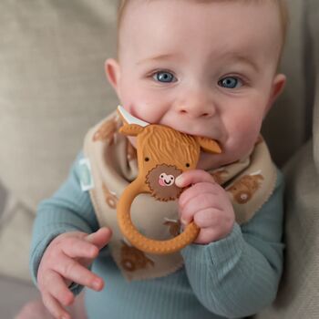 Highland Cow New Baby Gift Box, 10 of 10