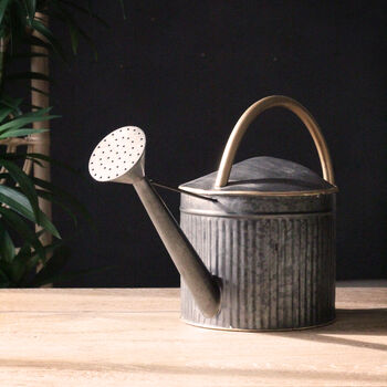 Metal Grey And Gold Watering Can, 2 of 5