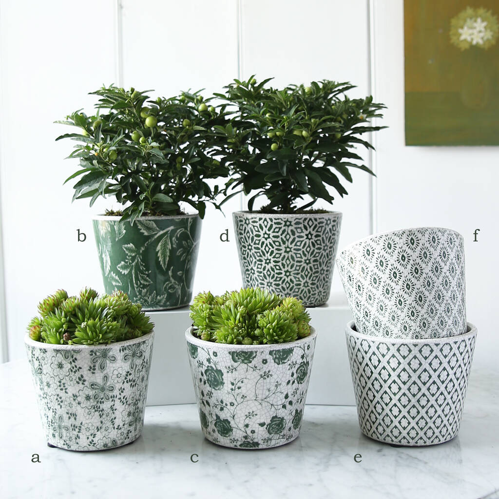 Green Patterned Plant Pot With Hyacinth, Large Outdoor Plant Pots Canada