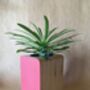 Plywood Plant Pot Layered Wooden Indoor Planter, thumbnail 1 of 4