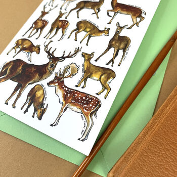 Deer Of Britain Blank Greeting Card, 3 of 9