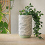 Terracotta 'Leaf' Planters And Vase, thumbnail 4 of 7