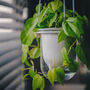 Flo, Self Watering Ceramic And Glass Hanging Planter, thumbnail 1 of 10
