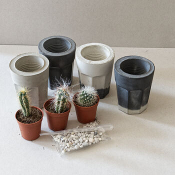 Concrete Planter Cactus Kit, 12 of 12
