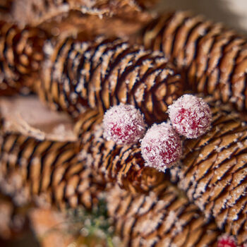 Natural Pinecone Indoor Christmas Wreath, 5 of 6