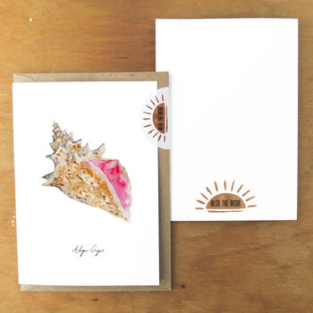 Conch Shell A6 Greetings Cards, 2 of 7