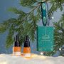Winter Glow Christmas Bauble Gift Set Peptide Serum + Face Oil, thumbnail 2 of 7