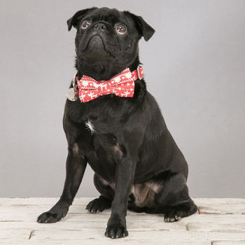 Christmas Finland Festive Dog Collar Bow Tie Gift Set, 5 of 5