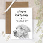 Golden Retriever Birthday Card, thumbnail 1 of 5