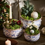 Set Of Three Solene Blue Botanical Planters, thumbnail 3 of 6
