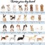 Personalised Dog Christmas Sack, thumbnail 4 of 6