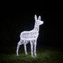 Swinsty Doe Dual Colour LED Light Up Reindeer One.05m, thumbnail 4 of 6
