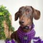 Royal Purple Patch Dog Collar, thumbnail 5 of 6