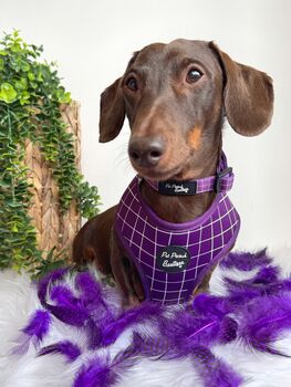 Royal Purple Patch Dog Collar, 5 of 6
