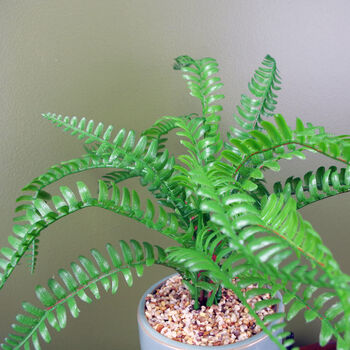 40cm Artificial Fern Plant With Planter, 5 of 5